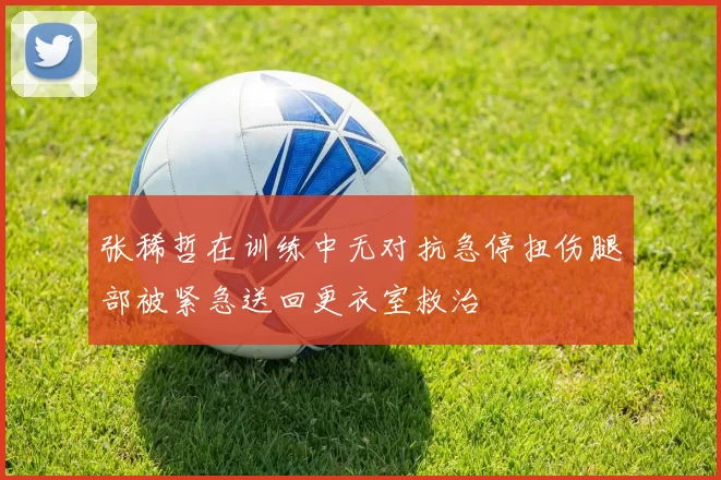 张稀哲在训练中无对抗急停扭伤腿部被紧急送回更衣室救治
